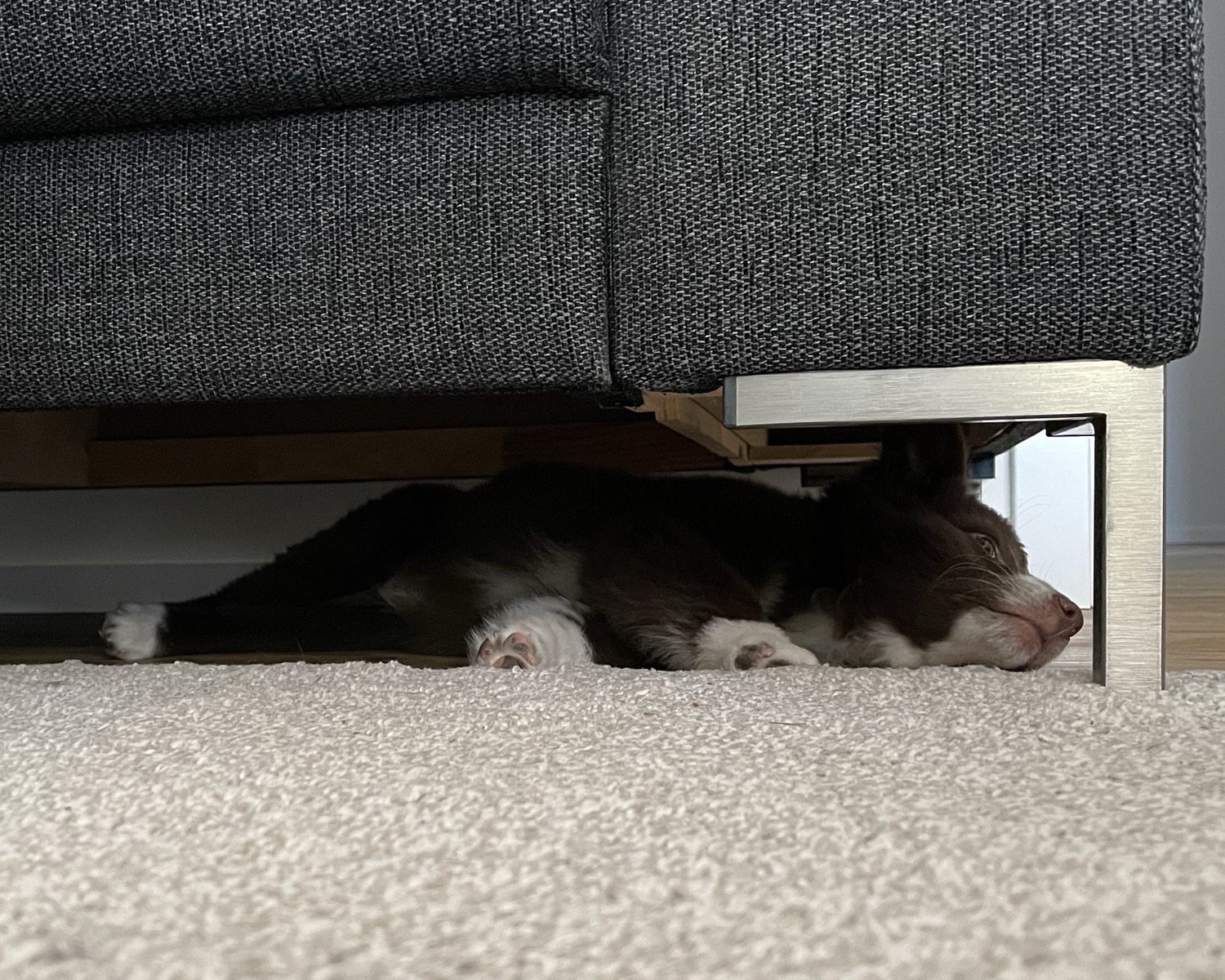 placeholder image-sq