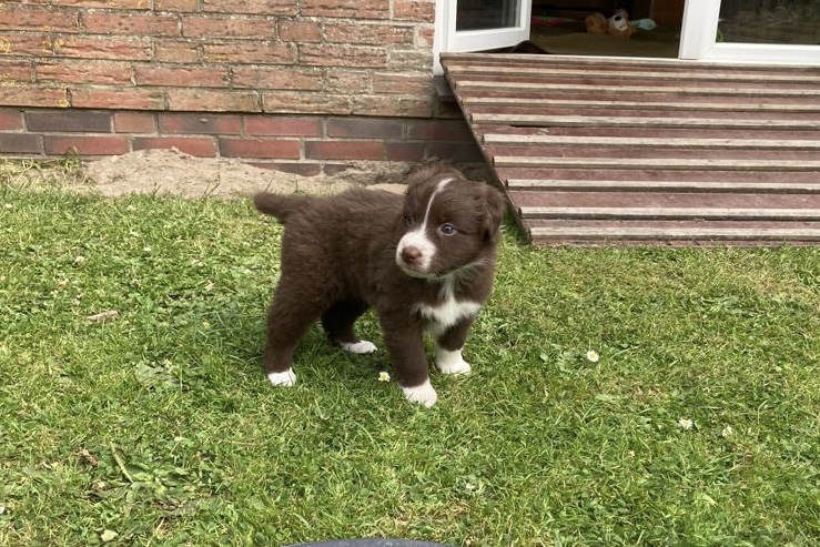 placeholder image-sq