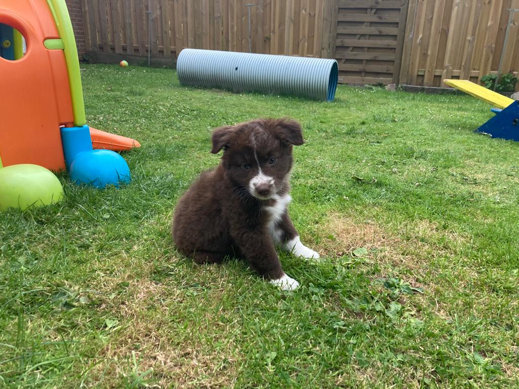 placeholder image-sq