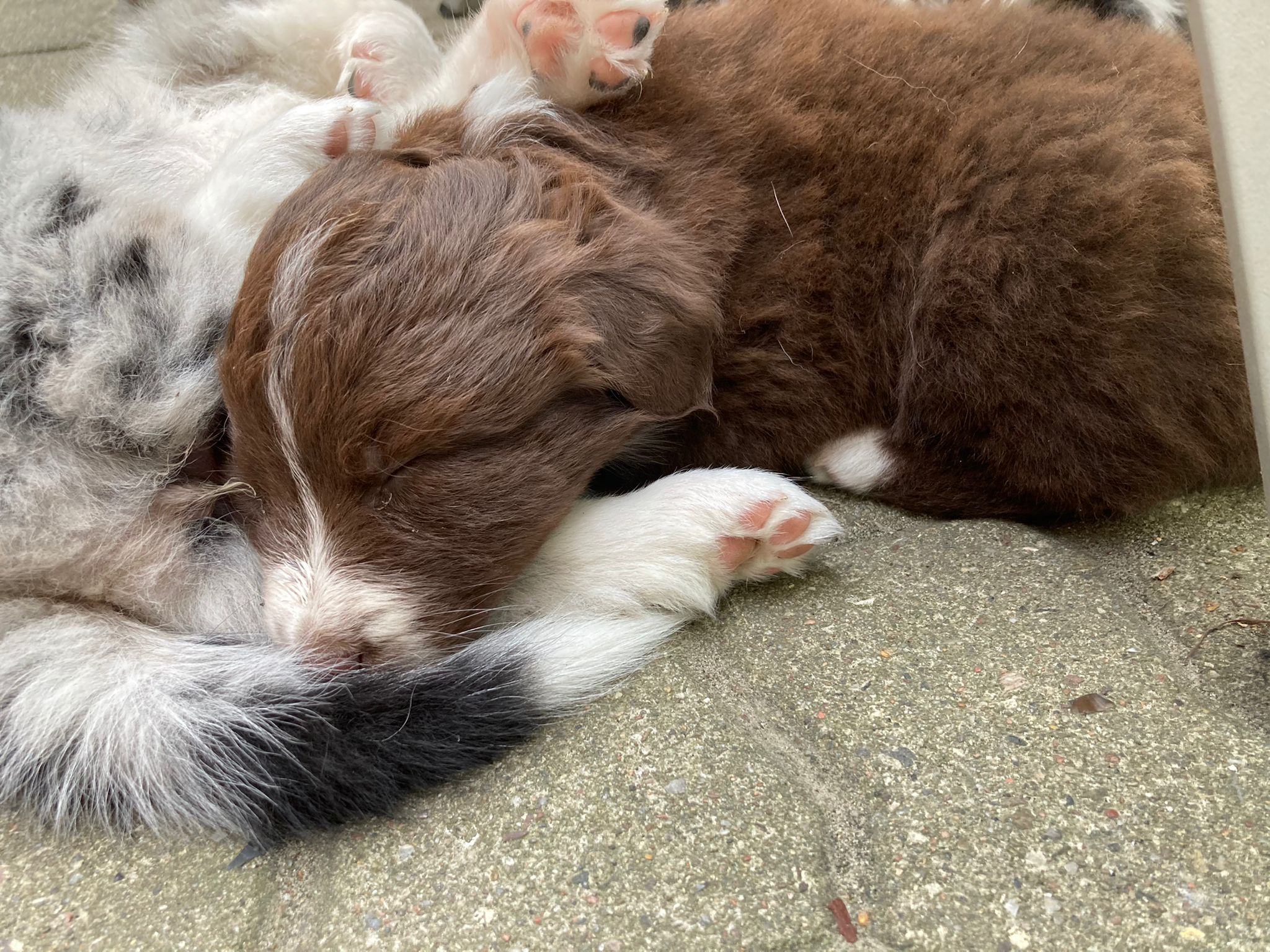 placeholder image-sq