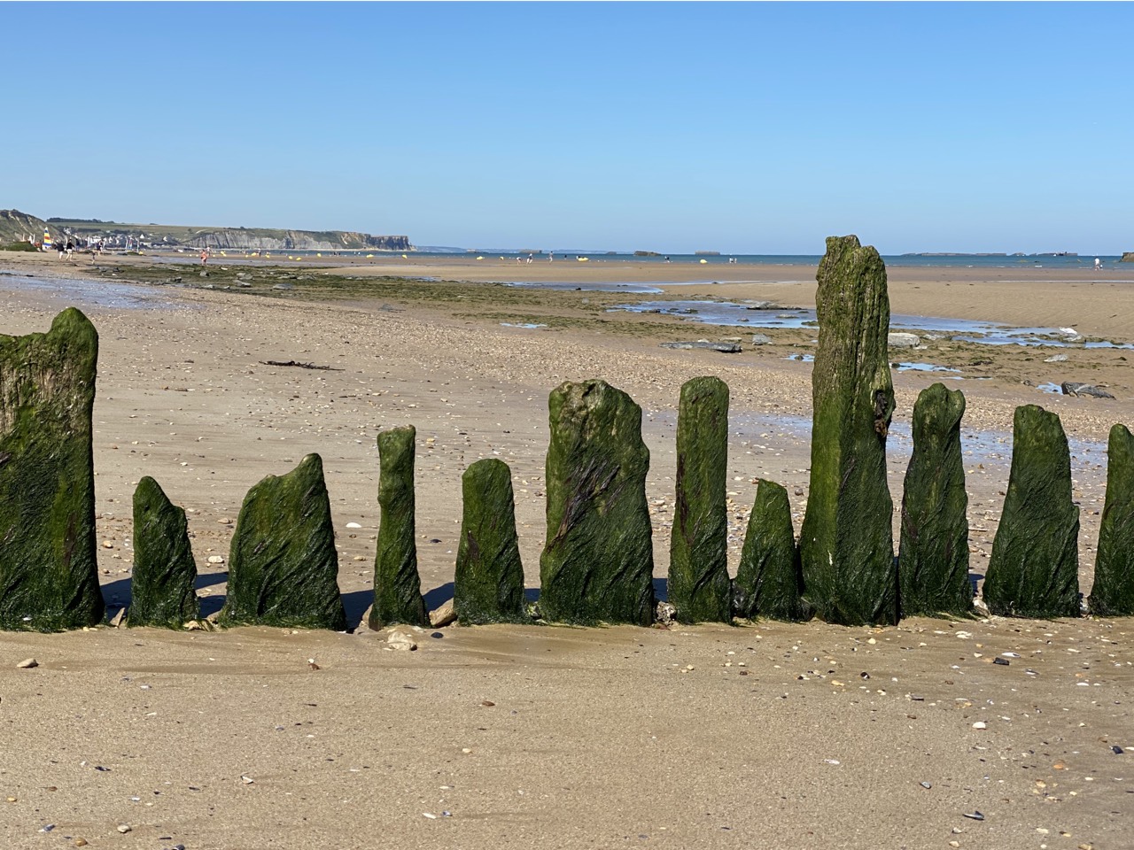 placeholder image-sq