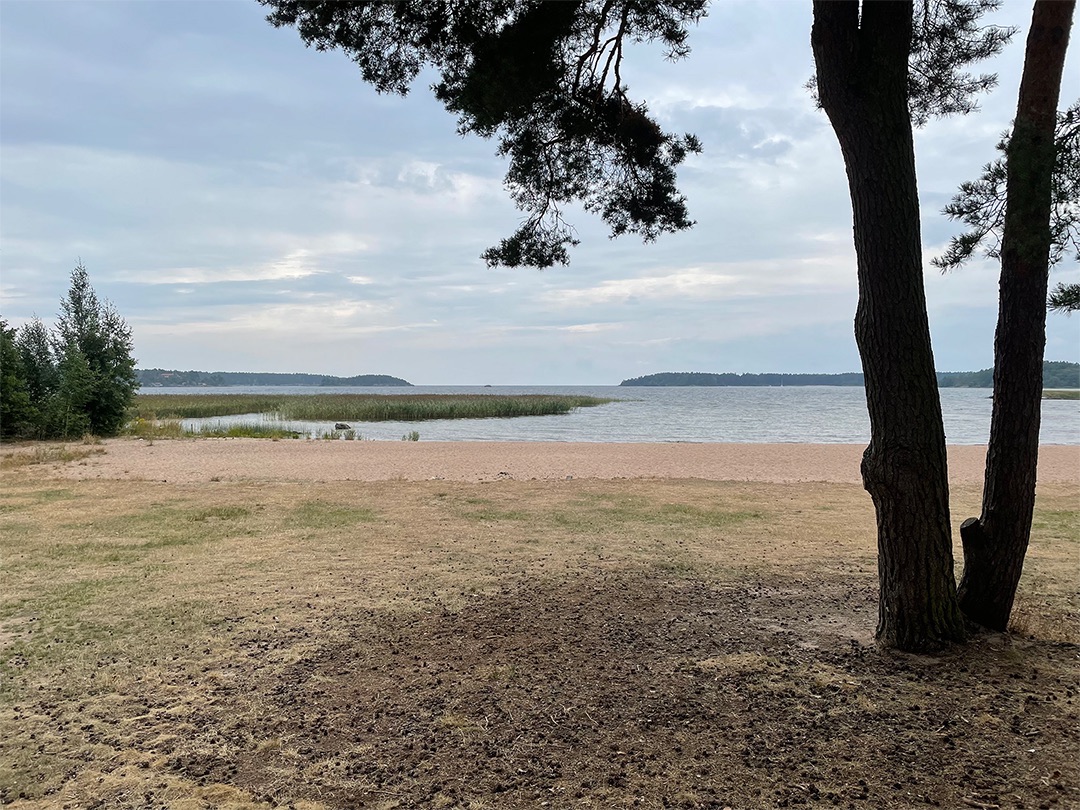 placeholder image-sq