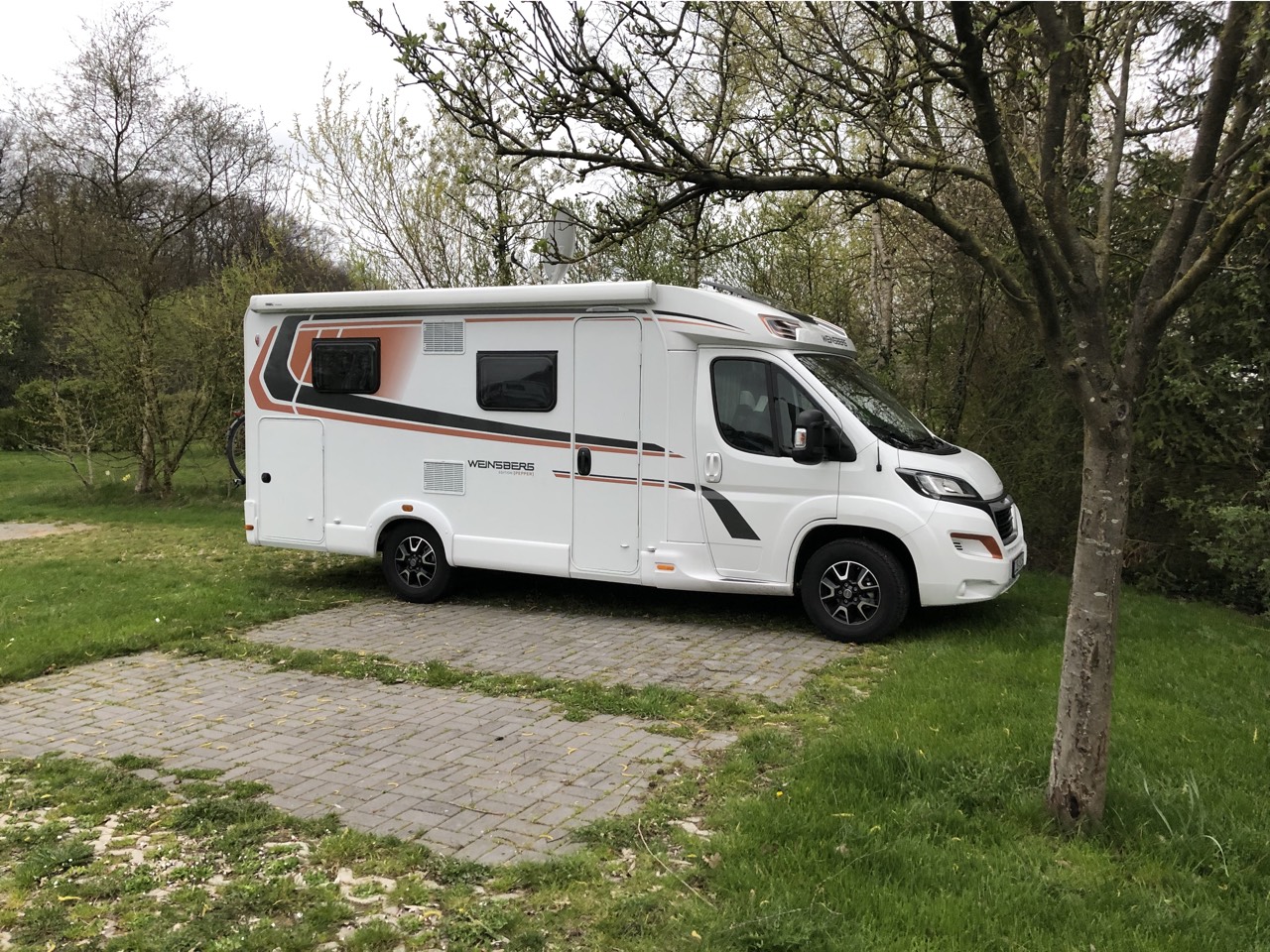 placeholder image-sq