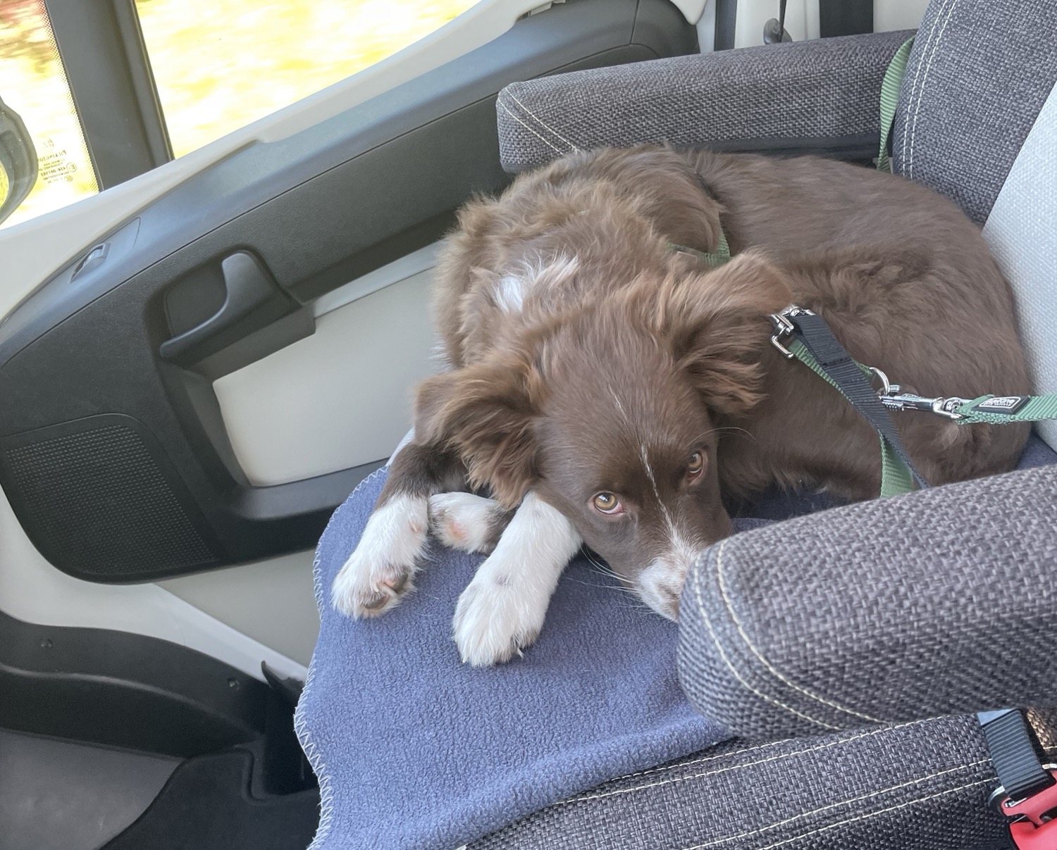 placeholder image-sq