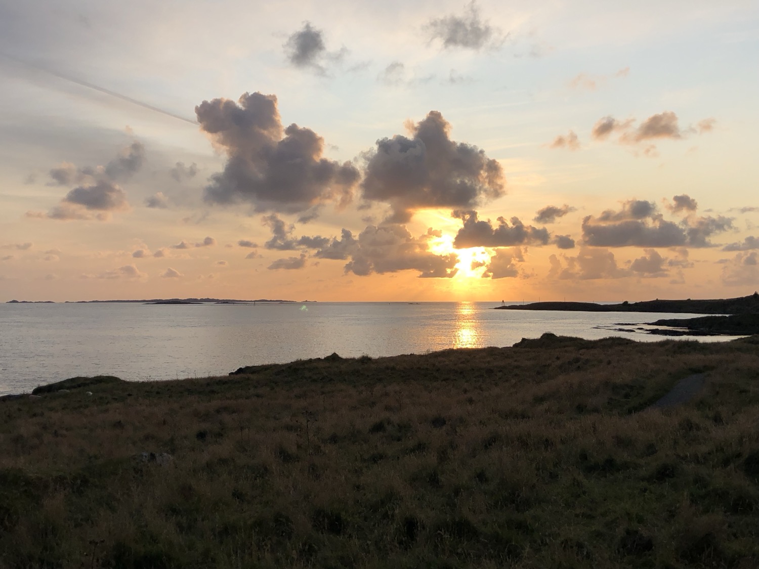 IMG_2280 haugesund.jpeg